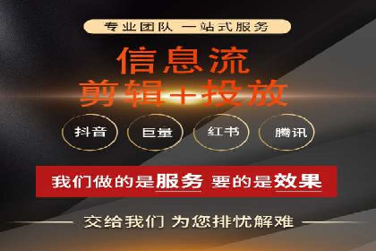 SEM广告投放中的数据监控与调整策略——以某品牌营销案例为例